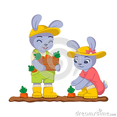 Rabbits are harvesting carrots in the garden. Bunny work in the kailyard. Farming, gardening. Vector children illustration Vector Illustration