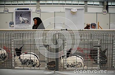 Rabbits Pens at Pollice Verde Editorial Stock Photo