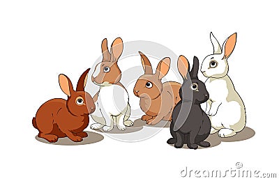 Rabbits Vector Illustration