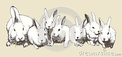 Rabbits Vector Illustration