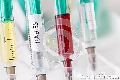 Rabies vaccination Stock Photo