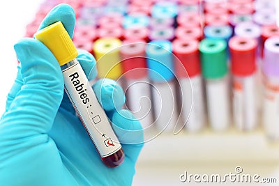 Rabies virus positive Stock Photo