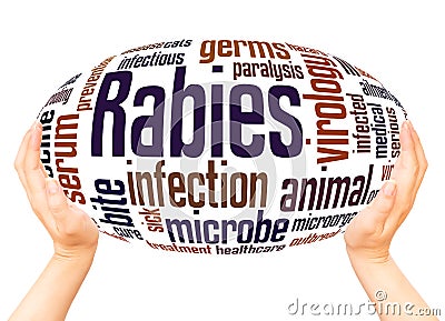 Rabies word cloud hand sphere concept Stock Photo