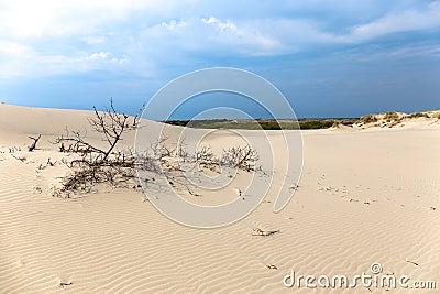 Rabjerg Mile near Skagen Stock Photo