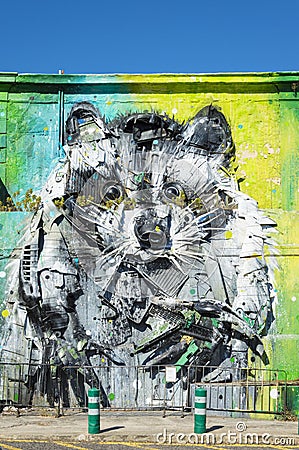 Raccoon art design paint Editorial Stock Photo