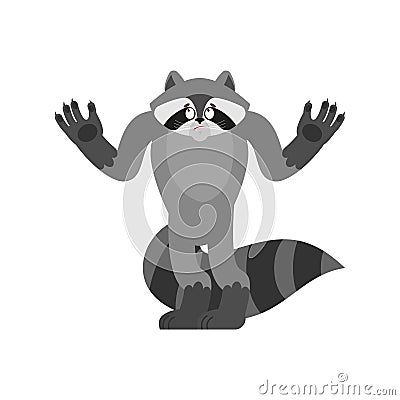 Raccoon confused oops. Racoon perplexed emotions. Coon surprise. Vector illustration Vector Illustration