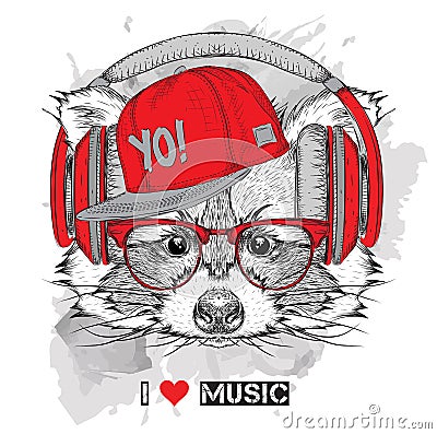 Raccoon in glasses and headphones. Vector illustration. Vector Illustration