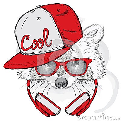 Raccoon headphones. Hipster. Raccoon. Raccoon headphones. Hipster. Vector Illustration