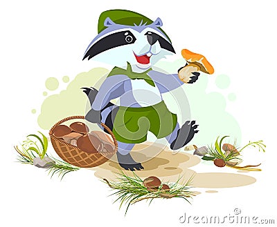 Raccoon scout collects mushrooms. Mushroomer picker with basket Vector Illustration