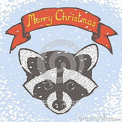 Raccoon vector illustration. Vector Illustration