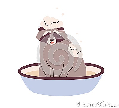 Raccoon washing, bathing in basin with water and shampoo. Cute funny racoon animal in washbasin with soap foam during Vector Illustration