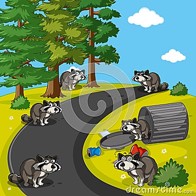 Raccoons searching trash in park Vector Illustration