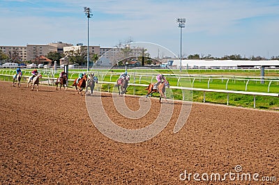 Race horses Stock Photo