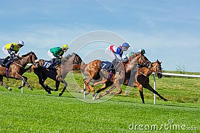 Horse Racing. Full gallop at the races. Editorial Stock Photo