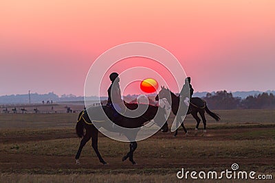 Race Horses Grooms Jockeys Training Dawn Editorial Stock Photo