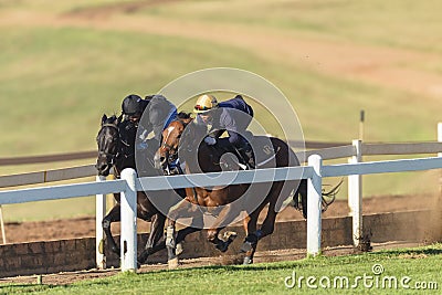 Race Horses Riders Training Editorial Stock Photo