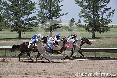 Race horses running in tight group as jockeys ride them along the rail at Araphaoe Park & Mile High Race Track, Aurora, Colorado, Editorial Stock Photo