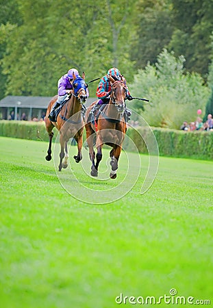 Race horses Stock Photo