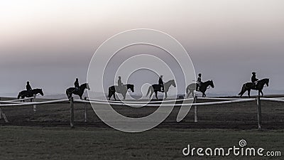 Race Horses Training Dawn Silhouettes Stock Photo