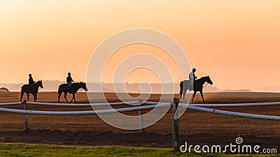 Race Horses Training Dawn Silhouettes Stock Photo