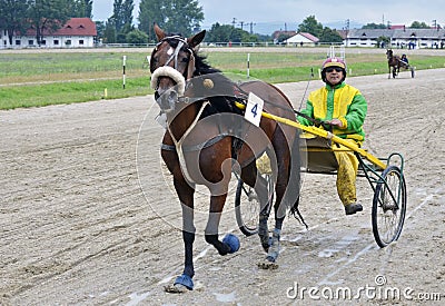 Race winner Editorial Stock Photo