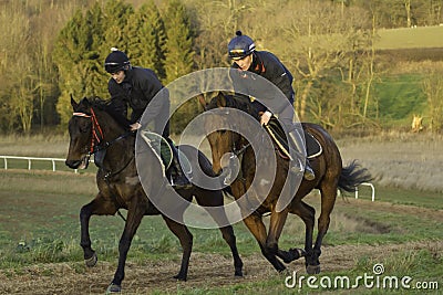 Racehorses on the gallops in Shropshire Editorial Stock Photo