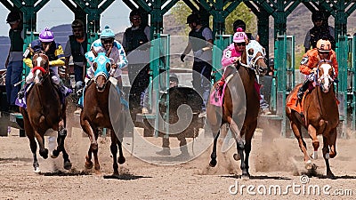 Racehorses Heading Down the Stretch Toward the Camera Editorial Stock Photo