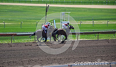 Racehorses and jockeys galloping Editorial Stock Photo