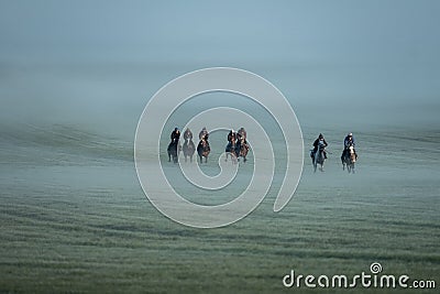 Racehorses in misty field Editorial Stock Photo