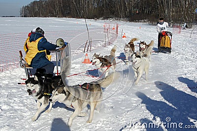 Races Editorial Stock Photo