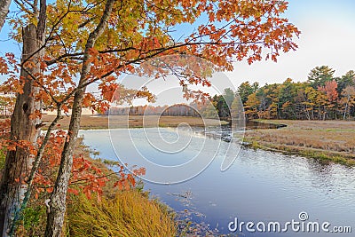 Rachel Carson National Wildlife Refuge Landscape Stock Photo