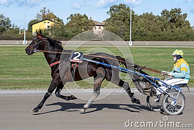 Racing horses trots and rider on a track of stadium. Competitions for trotting horse racing. Horses compete in harness racing. Editorial Stock Photo