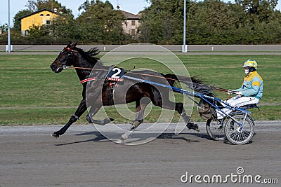Racing horses trots and rider on a track of stadium. Competitions for trotting horse racing. Horses compete in harness racing. Editorial Stock Photo