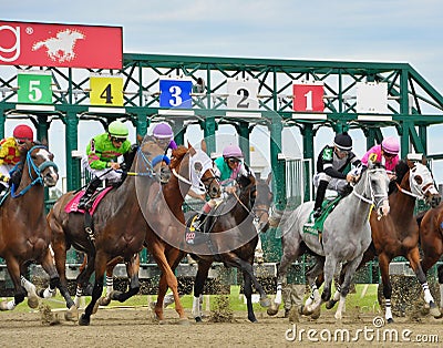 Racing from Parx Racing and Casino Editorial Stock Photo