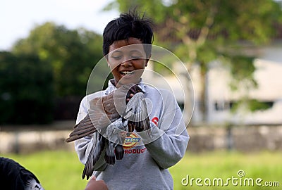 Racing pigeons Editorial Stock Photo