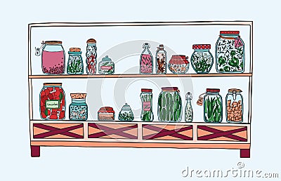 Rack with pickled jars with vegetables, fruits, herbs and berries on shelves, Autumn marinated food. Colorful Vector Illustration