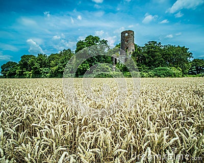 Racton ruin an old english landmark surround by golden wheat fields Stock Photo