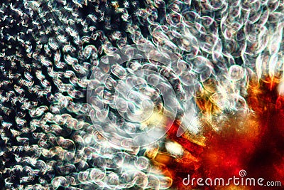 Radiant burst abstract micrograph. Stock Photo