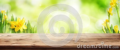 Radiant green spring background with wooden table Stock Photo
