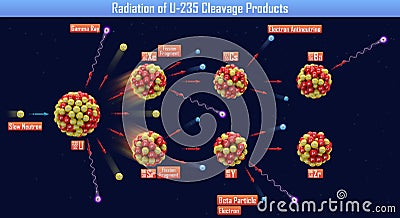 Radiation of U-235 Cleavage Products Cartoon Illustration
