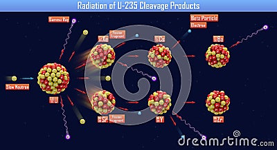 Radiation of U-235 Cleavage Products Cartoon Illustration