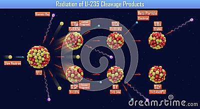 Radiation of U-235 Cleavage Products Cartoon Illustration