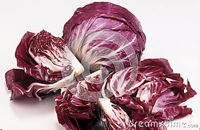 Radicchio Stock Photo