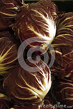 Radicchio Chioggia Stock Photo