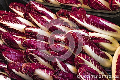 Radicchio on Display at an Italian Market Stock Photo