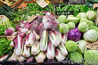 Radicchio and other salad Stock Photo