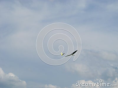 Radio controlled model airplane spiraling towards ground on blue sky. Aviation, airplanes, aerobatics and competition concepts Stock Photo