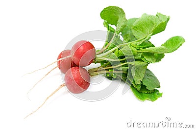 Radish. Stock Photo