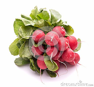 Radish. A bunch of radish with leaves. Isolate on white background Stock Photo