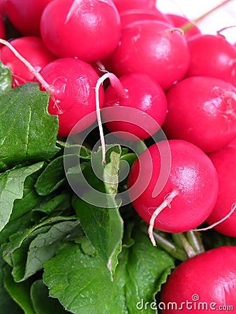 Radish bunch zoom Stock Photo